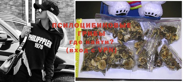ГАЛЛЮЦИНОГЕННЫЕ ГРИБЫ Абдулино
