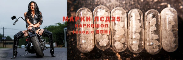 ГАЛЛЮЦИНОГЕННЫЕ ГРИБЫ Абдулино
