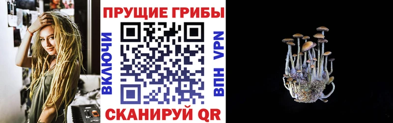 mega tor  где купить наркоту  Углегорск  Псилоцибиновые грибы GOLDEN TEACHER 